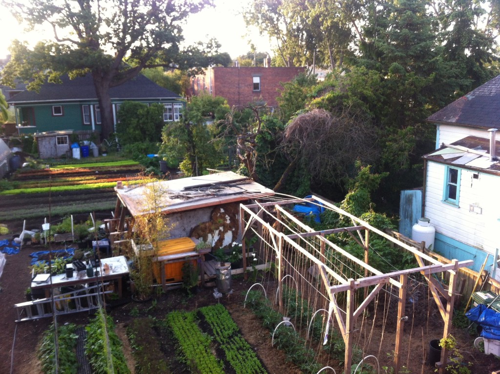 Farm Spring From Above